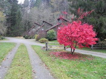 Forest Echoes Cabins Cultus Lake Exterior foto